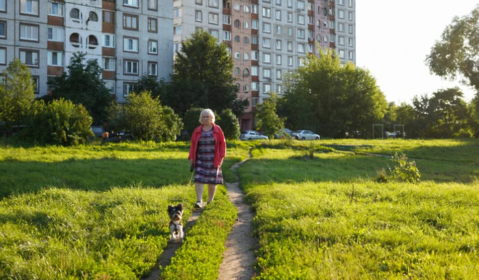 КИНОЛОГ ГОЛУБЕВ РАЗЪЯСНИЛ, ЧЕМ ОПАСЕН ДЛЯ СОБАК САМОВЫГУЛ