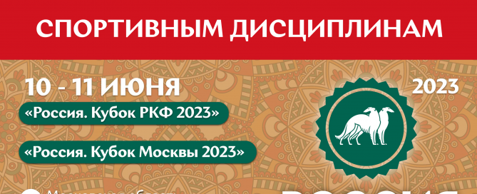 Мастер-классы по спортивным дисциплинам на выставке «Россия 2023»