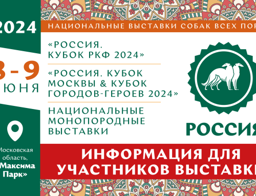 Информация для участников выставки «Россия 2024»