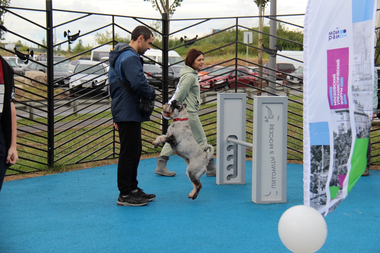 Открыта первая в этом году площадка для выгула собак в рамках проекта «Питомцы в Москве»