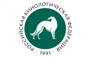 РКФ совместно с Ассоциацией «НВА» проводят круглый стол по вопросам обеспечения собак ветеринарными препаратами отечественного производства