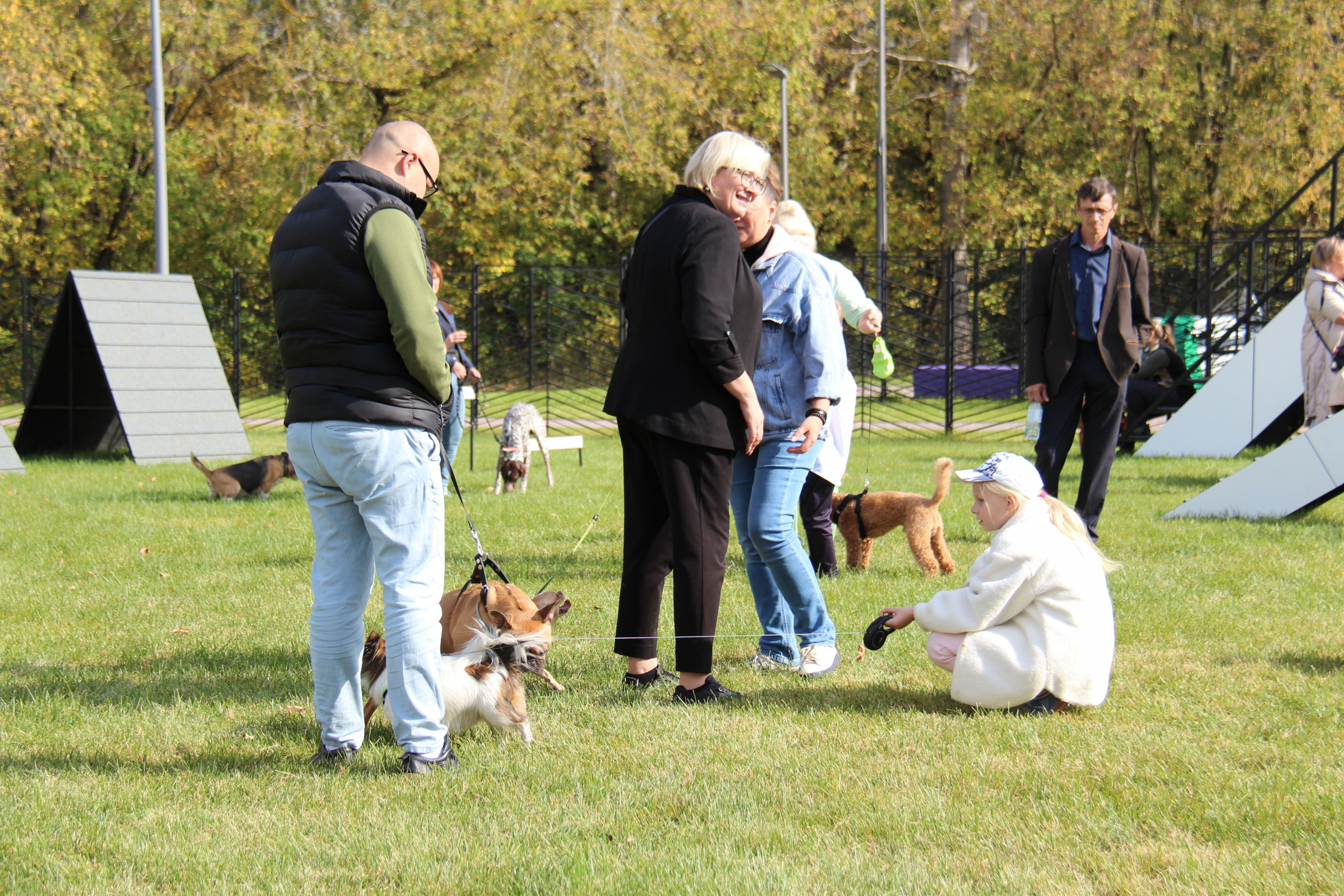 Новая площадка для выгула собак открыта в Москве