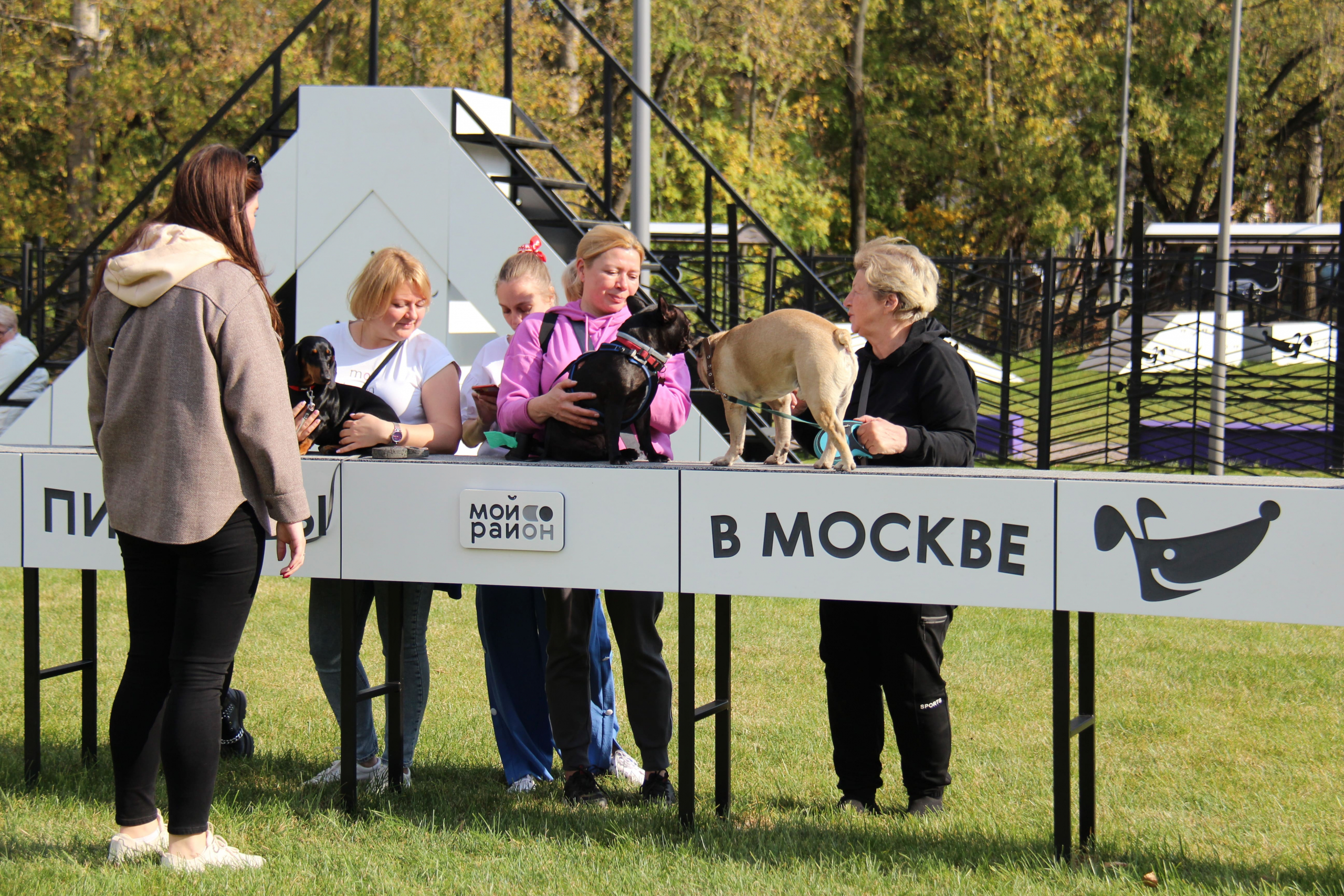 Новая площадка для выгула собак открыта в Москве