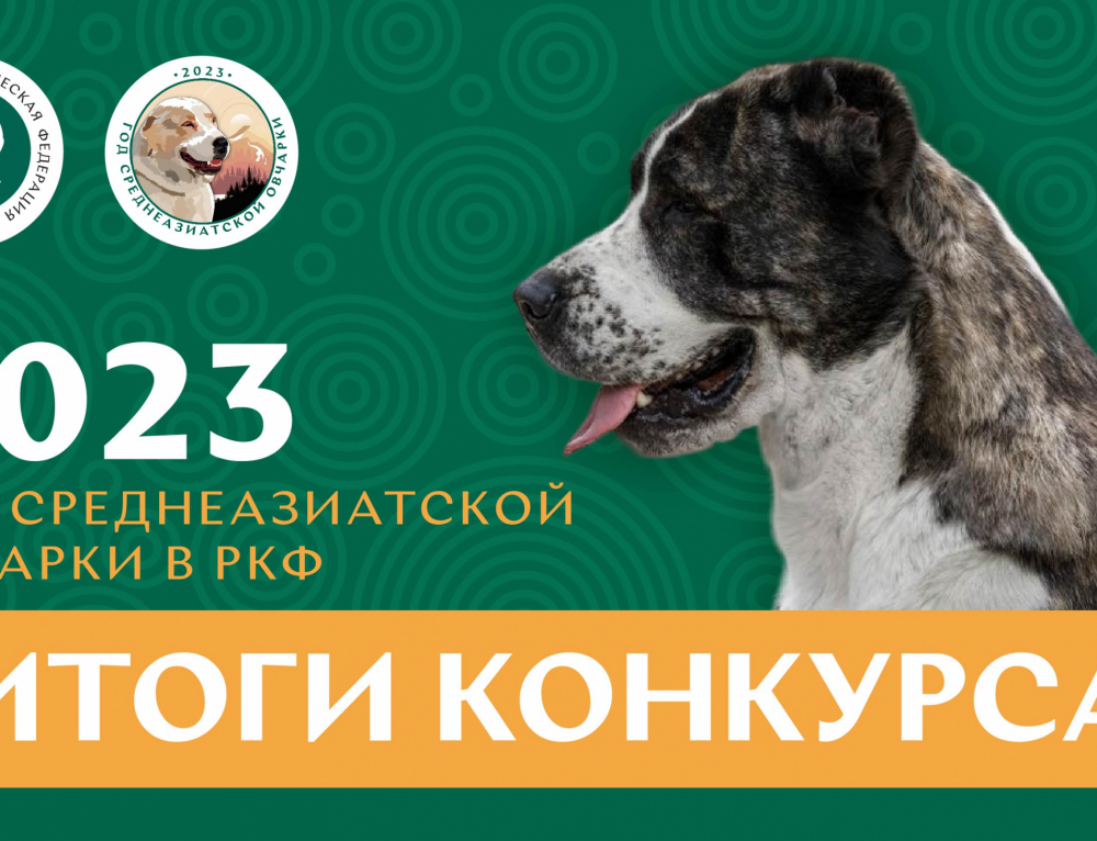 Расписание выставок собак в Москве РКФ 2020 год: календарь выставок собак МСК Расписание выставок собак в Москве РКФ 2020 год: календарь выставок собак МСК
