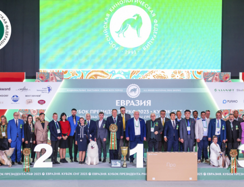 Победители выставок «Евразия. Кубок Президента РКФ 2023» и «Евразия. Кубок СНГ 2023»