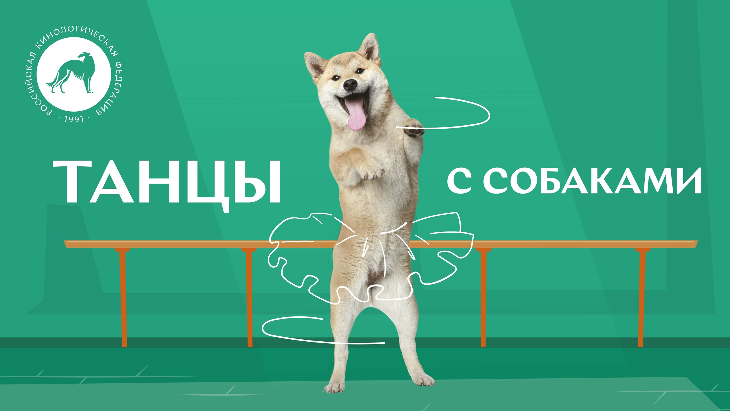 Все о танцах с собаками от Российской кинологической федерации
