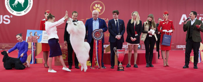 В Москве прошла выставка собак «Лучшие собаки России / РКФ 2024»