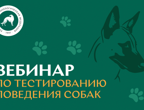 Вебинар: «Тестирование поведения собак – организация мероприятия и правила оформления отчетности»