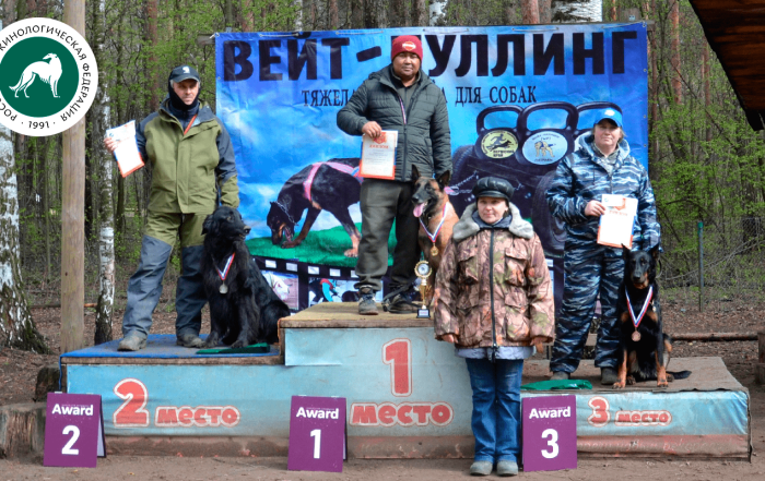 Чемпионат России РКФ по вейт-пуллингу