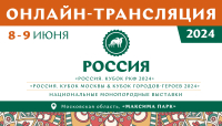 Онлайн-трансляция выставок «Россия 2024»