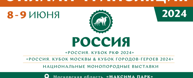 Онлайн-трансляция выставок «Россия 2024»