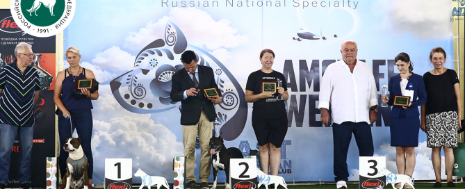 РКФ на крупнейшем породном мероприятии «Amstaff Weekend 2024»