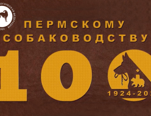 Президент РКФ поздравил пермских собаководов со 100-летним юбилеем краевого собаководства