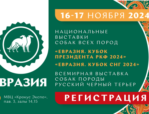 Регистрация на «Евразию 2024»