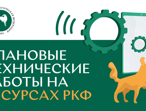 Плановые технические работы на ресурсах РКФ