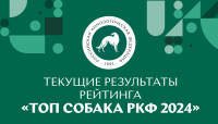 Текущие результаты рейтинга «Топ собака РКФ 2024»