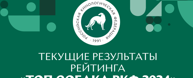 Текущие результаты рейтинга «Топ собака РКФ 2024»