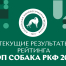 Текущие результаты рейтинга «Топ собака РКФ 2024»