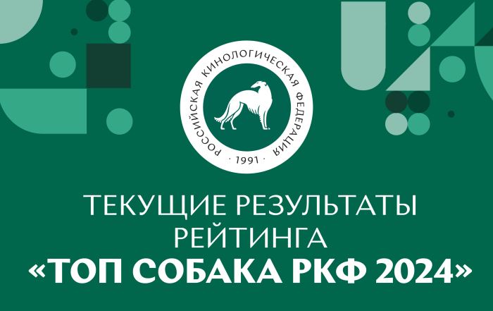 Текущие результаты рейтинга «Топ собака РКФ 2024»