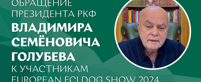 Обращение президента РКФ Владимира Семёновича Голубева к участникам European FCI Dog Show 2024