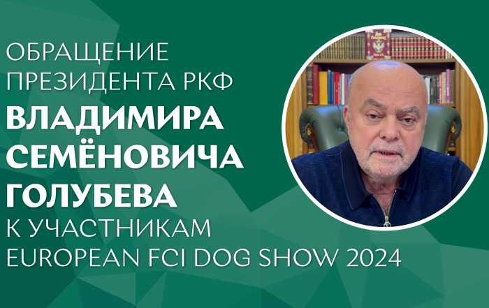 Обращение президента РКФ Владимира Семёновича Голубева к участникам European FCI Dog Show 2024