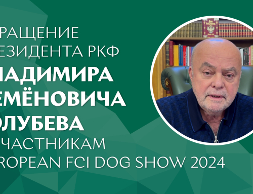 Обращение президента РКФ Владимира Семёновича Голубева к участникам European FCI Dog Show 2024