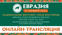 Онлайн-трансляция выставок «Евразия 2024»