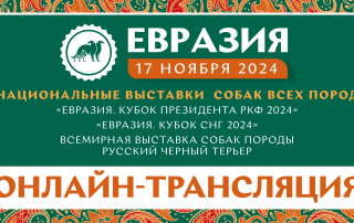 Онлайн-трансляция выставок «Евразия 2024»