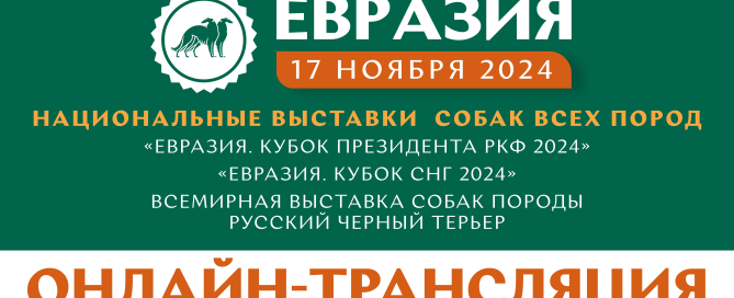 Онлайн-трансляция выставок «Евразия 2024»