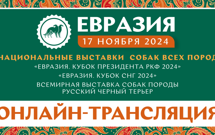 Онлайн-трансляция выставок «Евразия 2024»