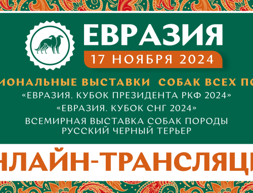 Онлайн-трансляция выставок «Евразия 2024»