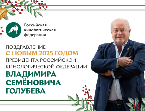 Поздравление президента РКФ Владимира Семёновича Голубева с Новым годом