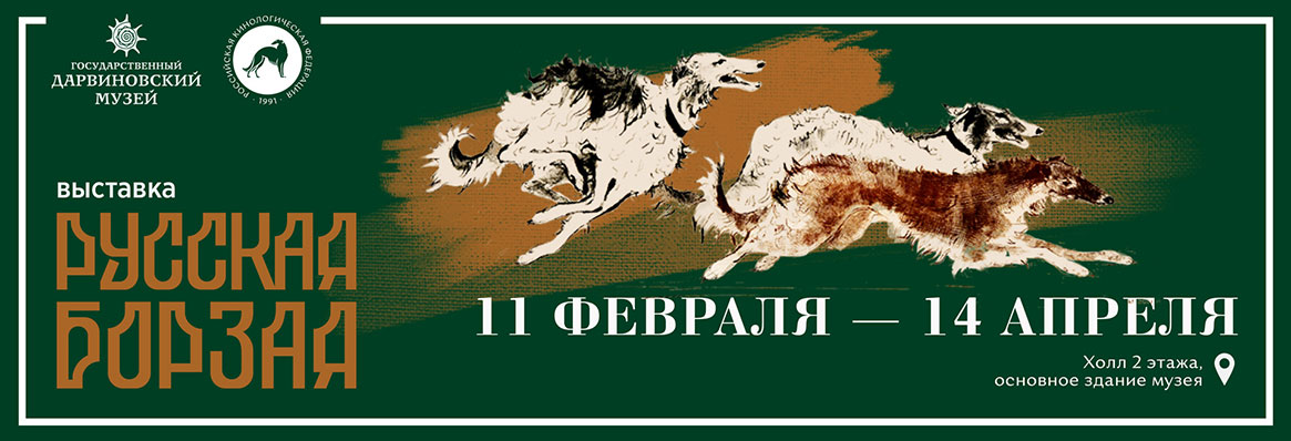 Главная