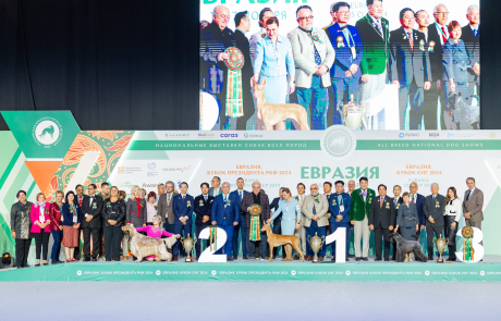 Фотогалерея