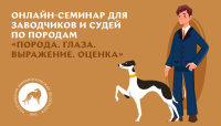 Онлайн-семинар для заводчиков и судей по породам «Порода. Глаза. Выражение. Оценка»