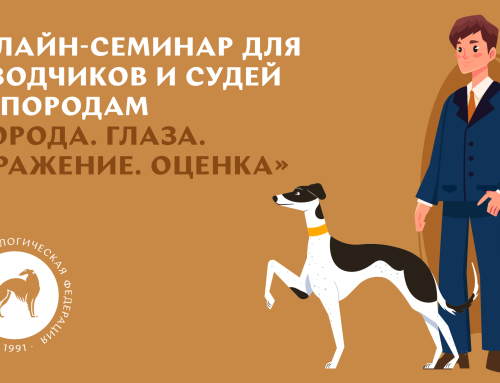 Онлайн-семинар для заводчиков и судей по породам «Порода. Глаза. Выражение. Оценка»