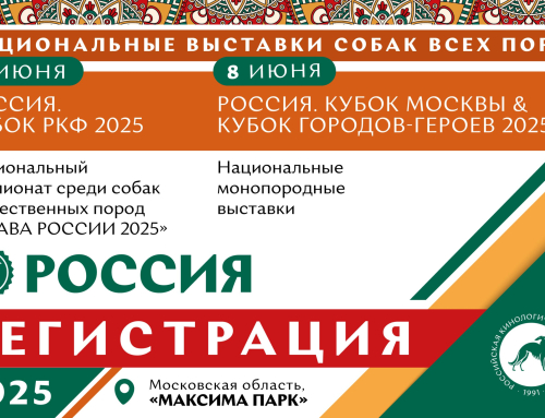 Открыта регистрация на национальные выставки собак всех пород «Россия 2025»