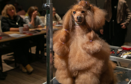 Фотогалерея