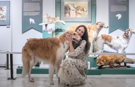 Фотогалерея