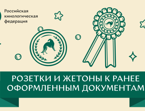 Доступен заказ розеток и жетонов к ранее оформленным документам