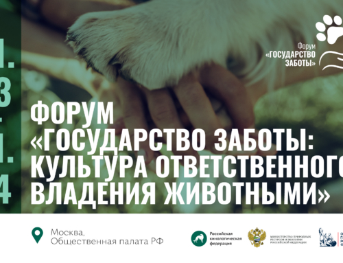 Форум «Государство заботы: культура ответственного владения животными» пройдет в Москве 31 марта – 1 апреля