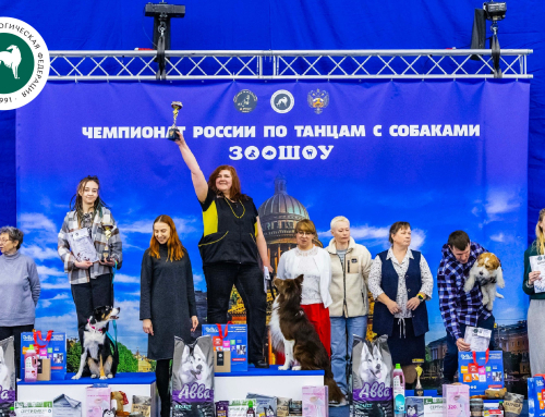 Чемпионат России по танцам с собаками