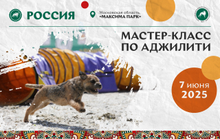 Мастер-класс по аджилити на выставке «Россия 2025»