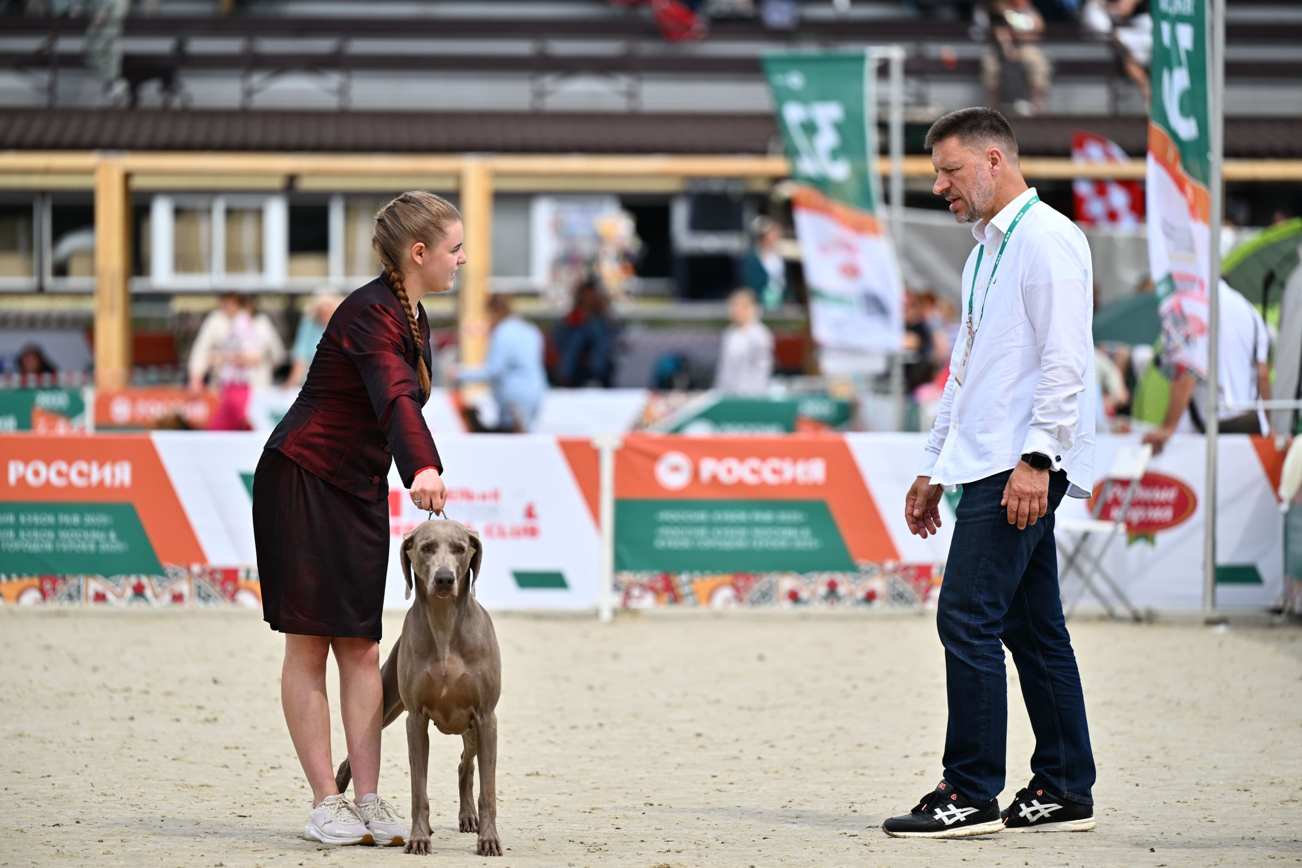 В Подмосковье состоялась выставка собак всех пород «Россия 2025»