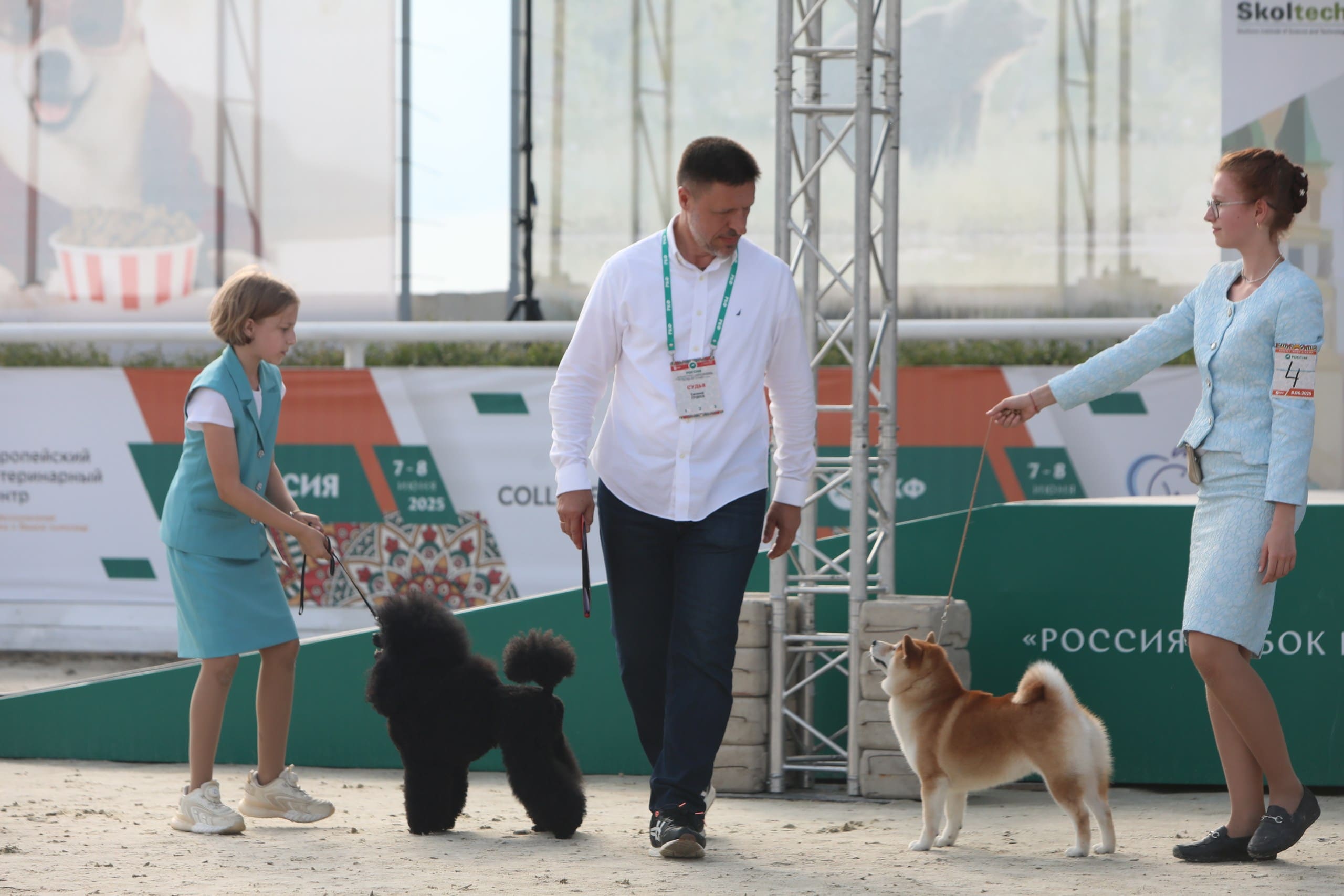 В Подмосковье состоялась выставка собак всех пород «Россия 2025»