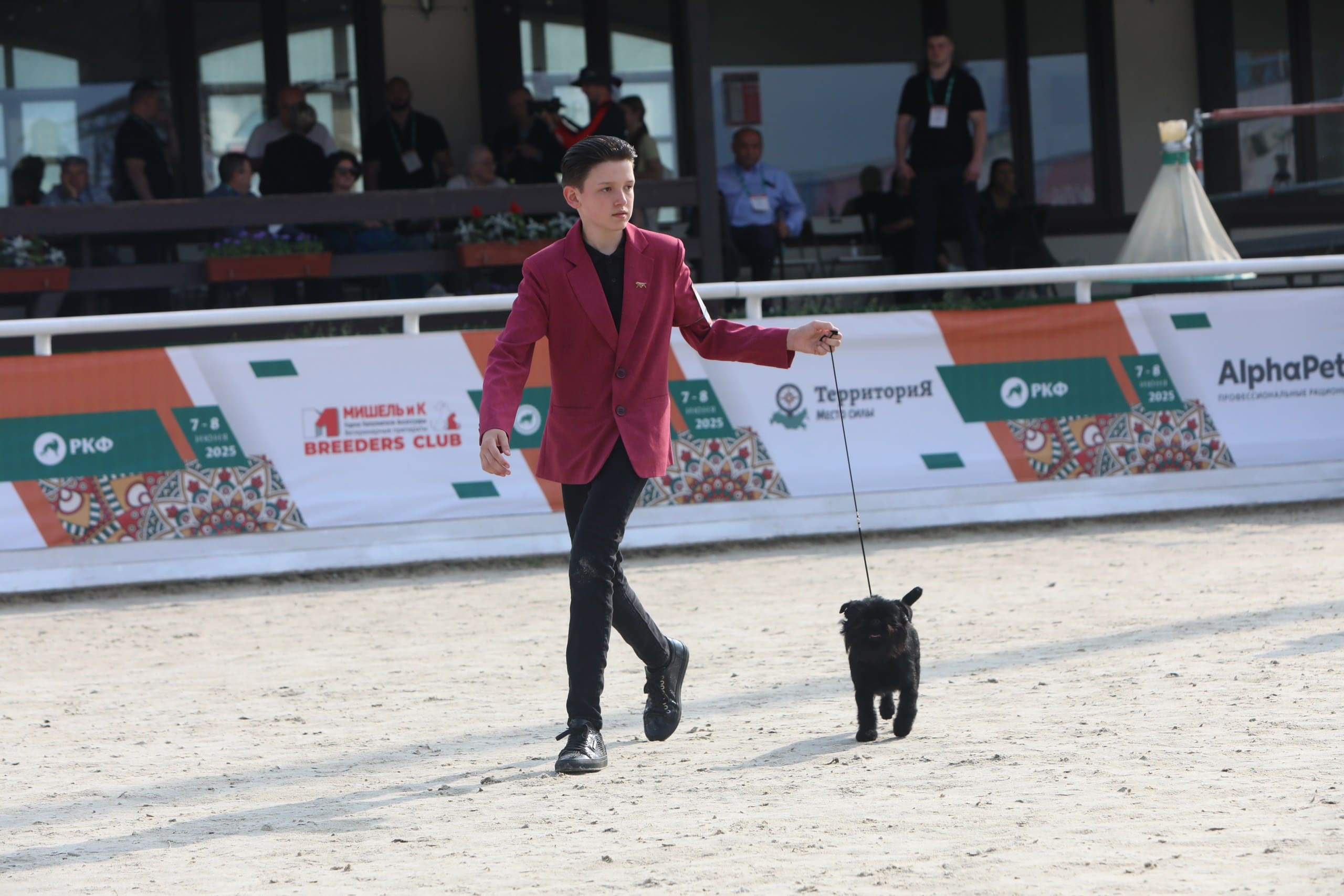 В Подмосковье состоялась выставка собак всех пород «Россия 2025»