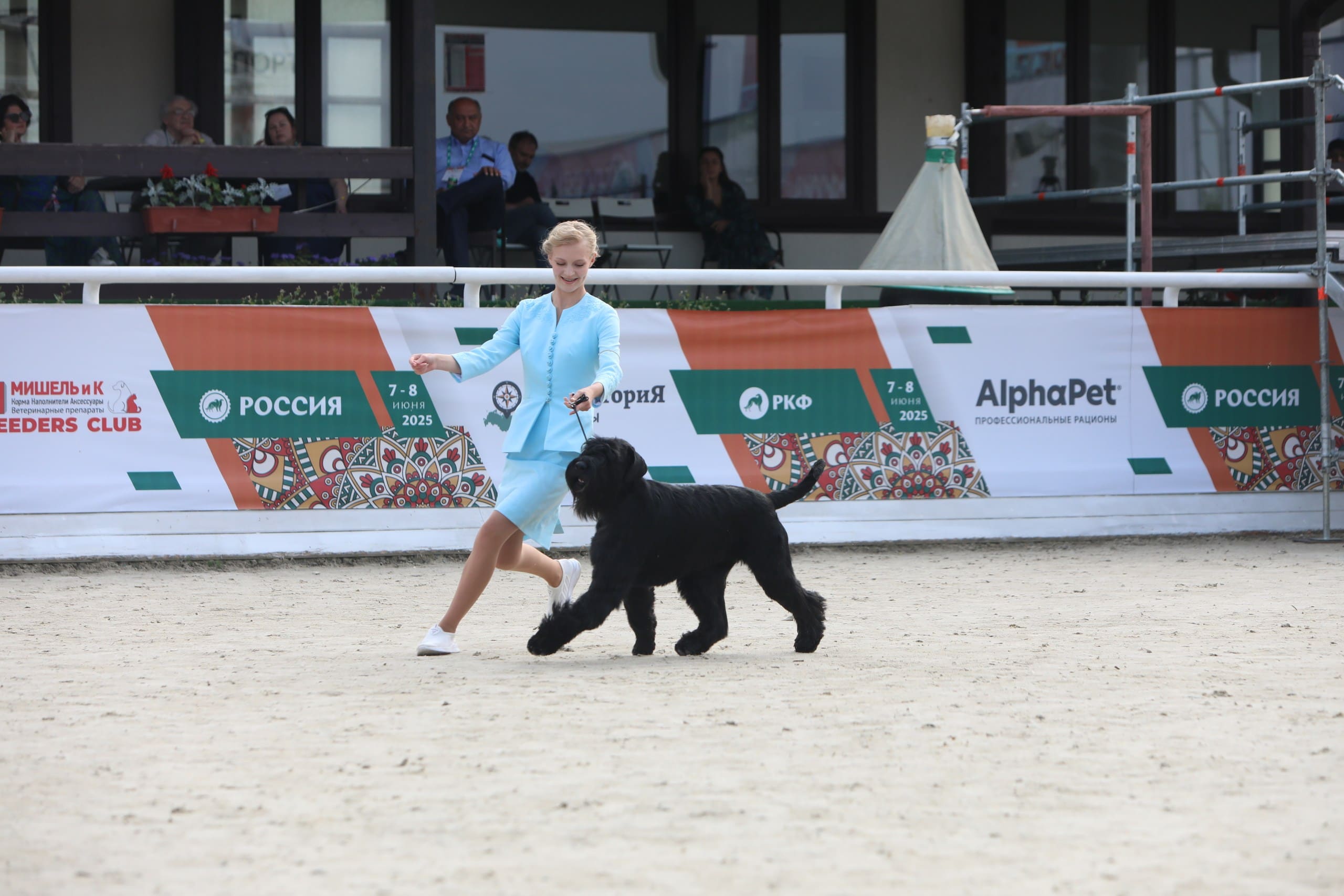 В Подмосковье состоялась выставка собак всех пород «Россия 2025»