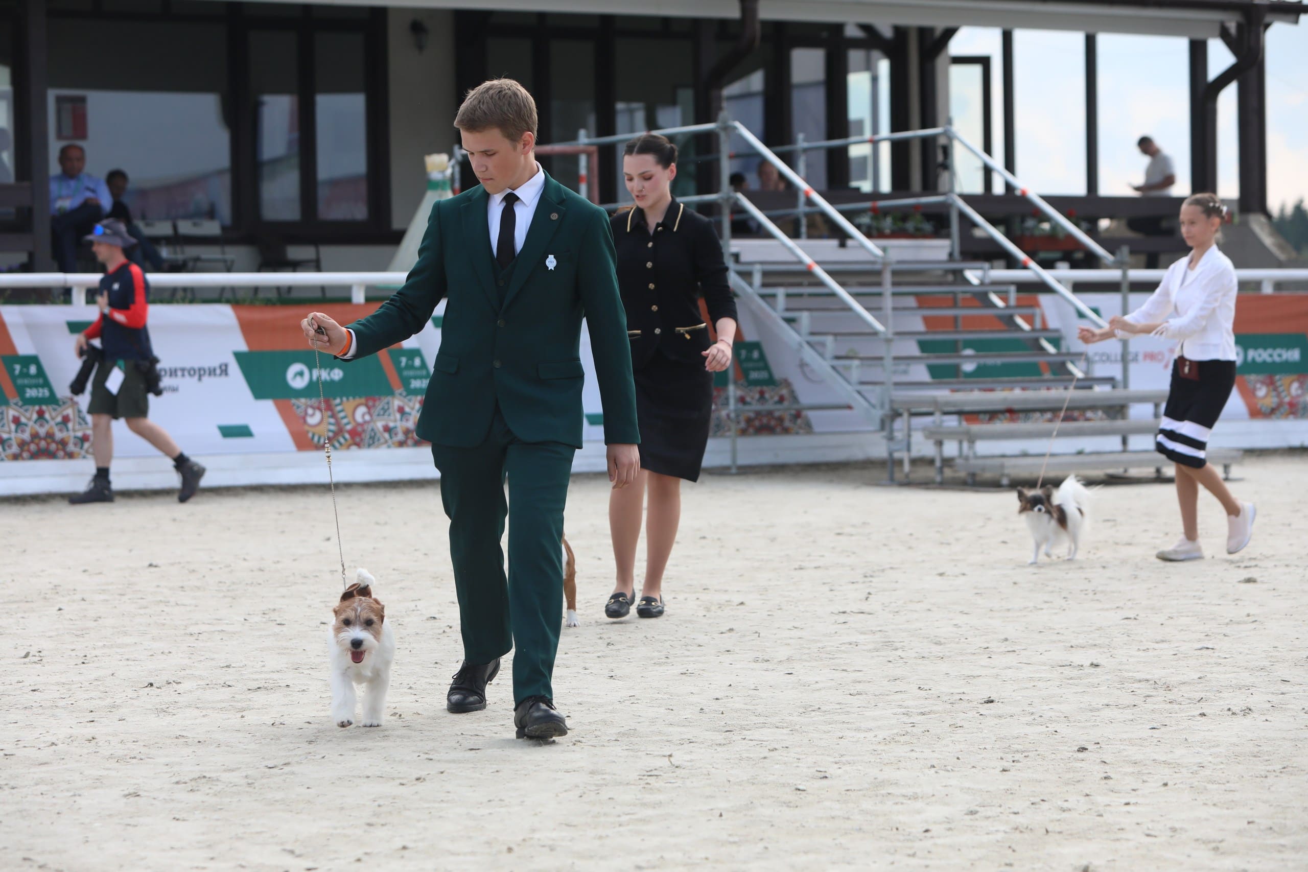 В Подмосковье состоялась выставка собак всех пород «Россия 2025»