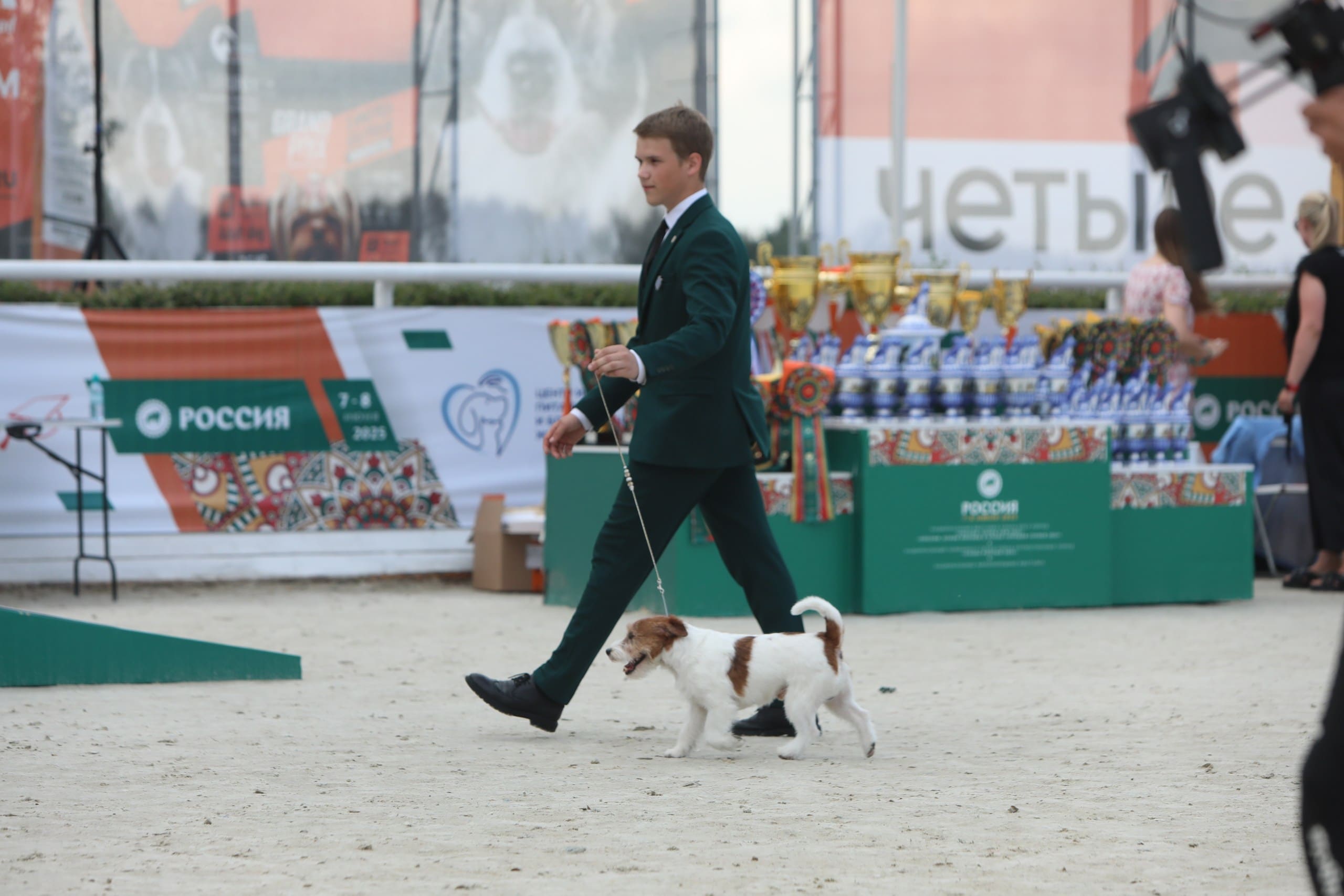 В Подмосковье состоялась выставка собак всех пород «Россия 2025»