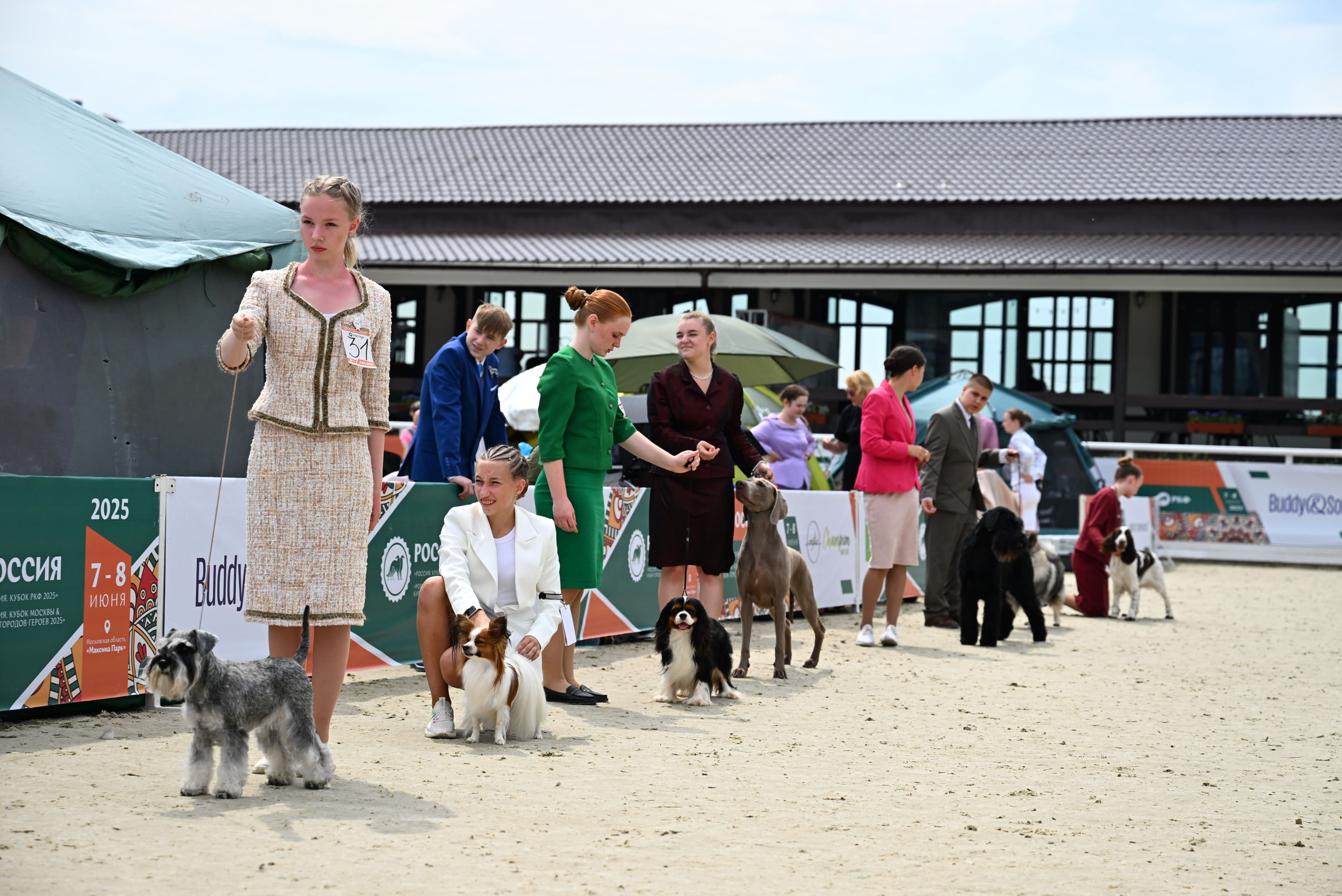 В Подмосковье состоялась выставка собак всех пород «Россия 2025»